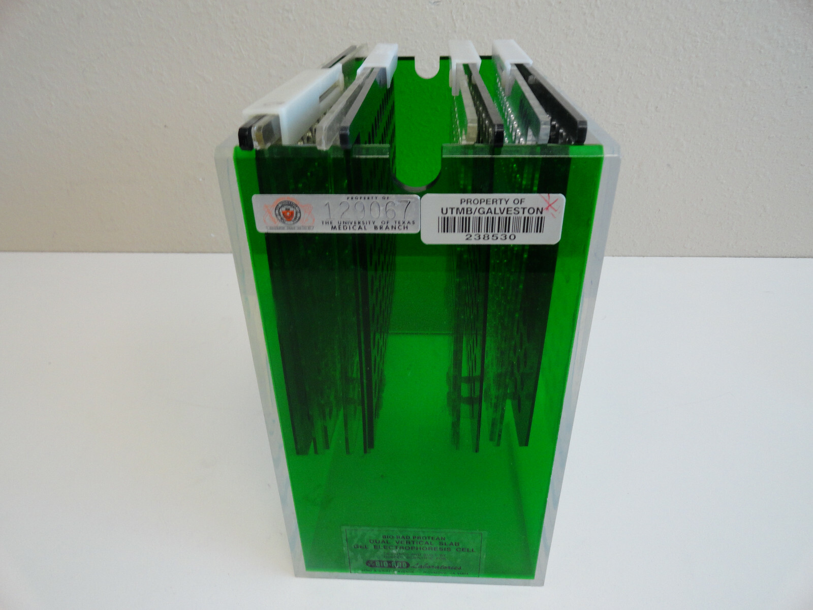 Bio-Rad Protean Dual Vertical Slab Gel Electrophoresis Cell Hoefer Scientific