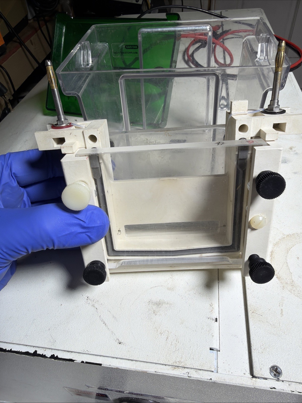 Bio-Rad Mini-PROTEAN II Cell