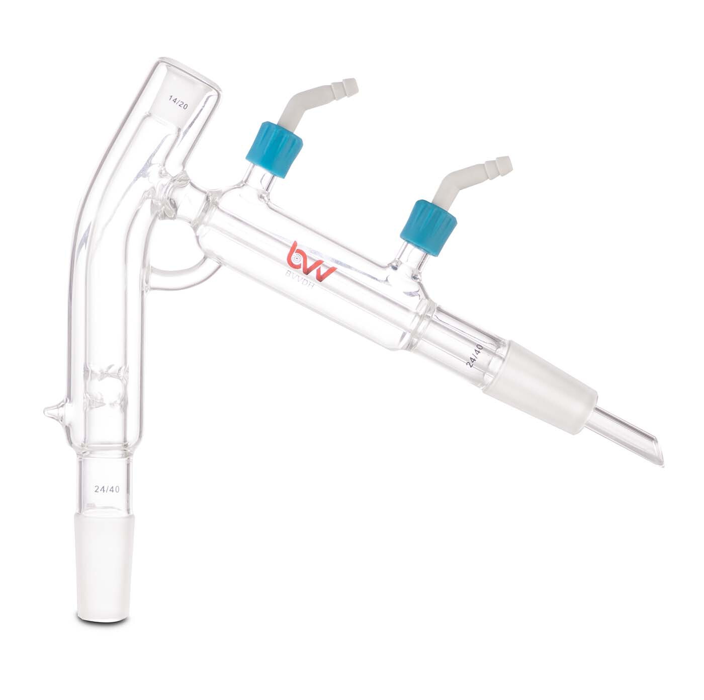 BVV Head