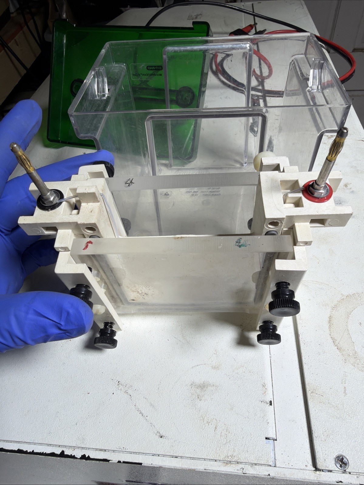 Bio-Rad Mini-PROTEAN II Cell