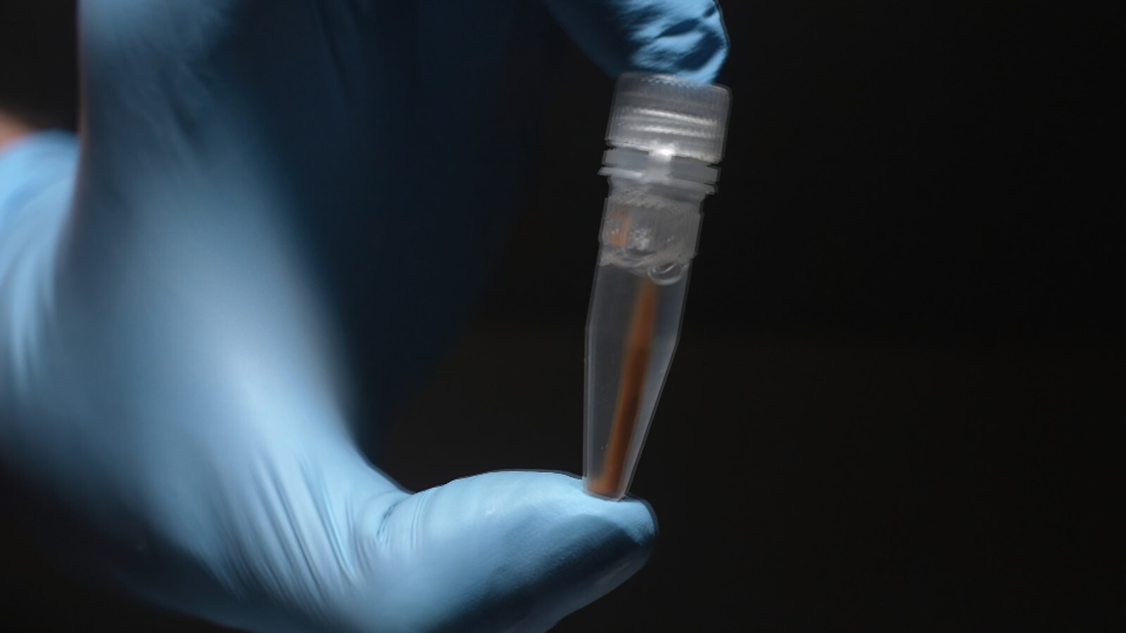 ILmag-2™ Magnetic Separation Rack. Beads Stand Tubes Separator.
