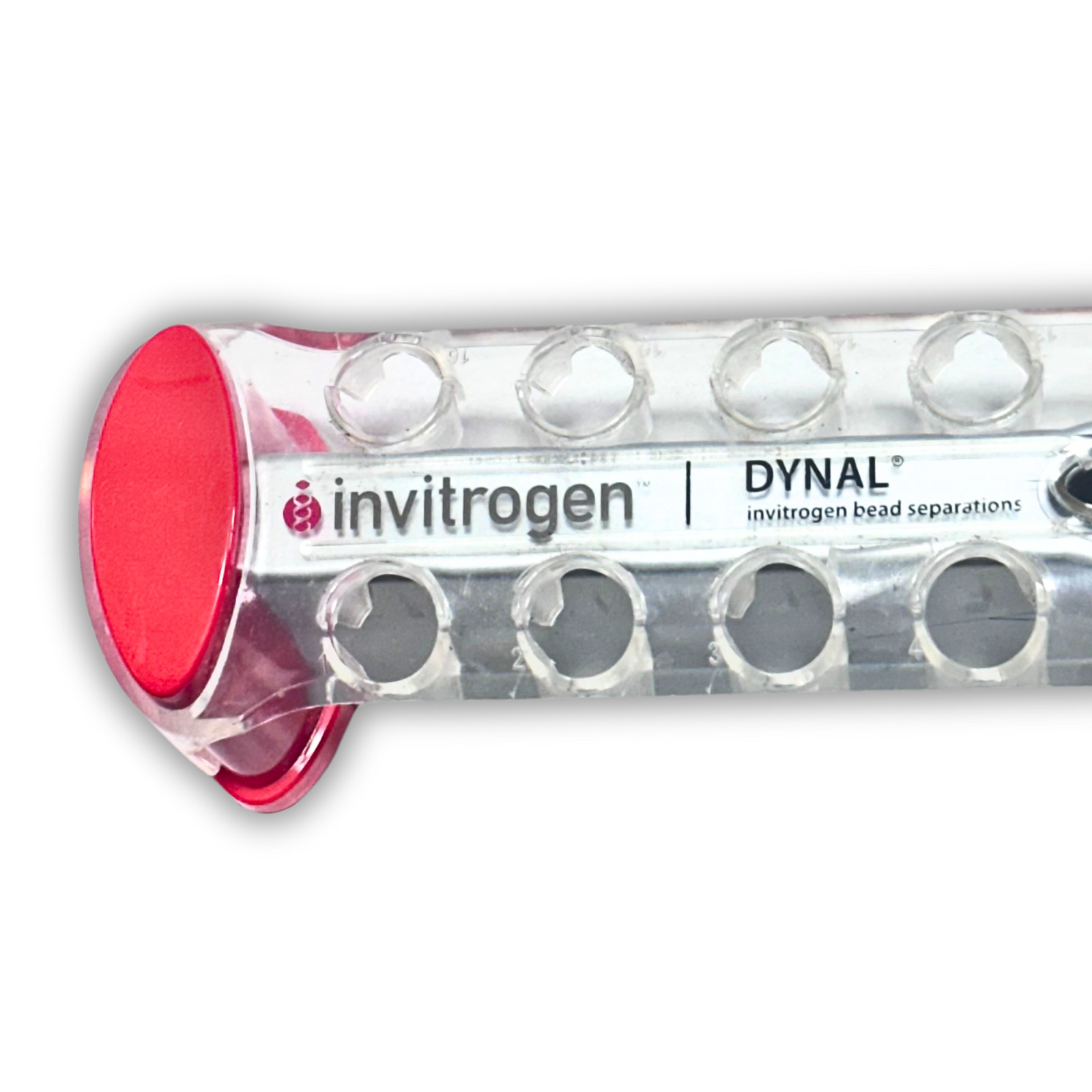Invitrogen DYNAL DynaMag-2 Bead Separator 12321D Magnetic Particle Concentrator