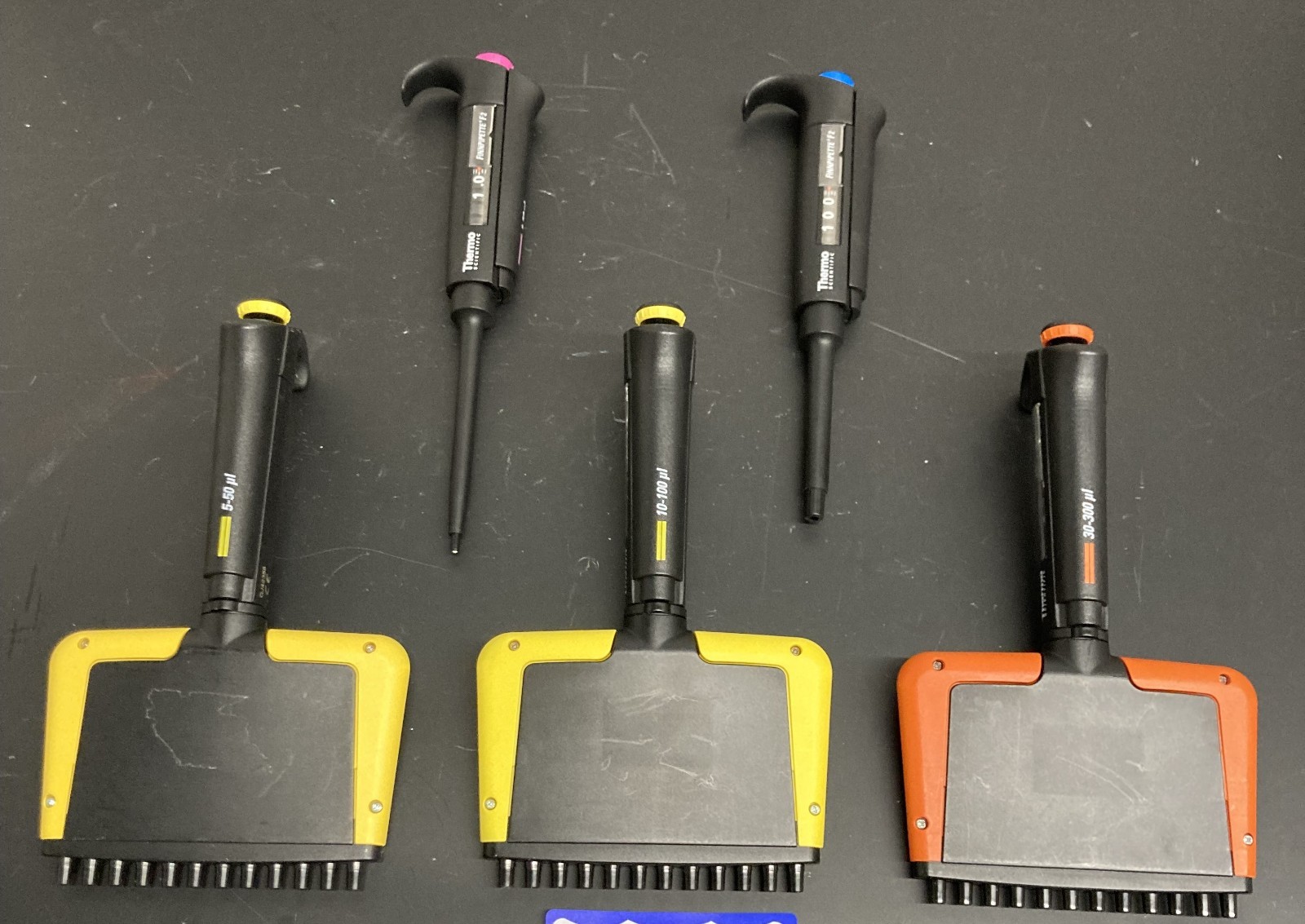 Thermo Finnpipettes (Qty of 5) includes (2) Single & (3) Twelve Channels