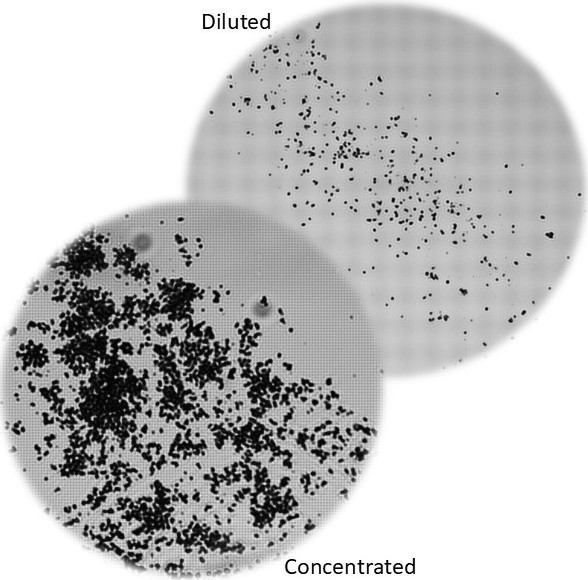Magnetic Beads for DNA/RNA Purification – High-Efficiency Nucleic Acid Isolation