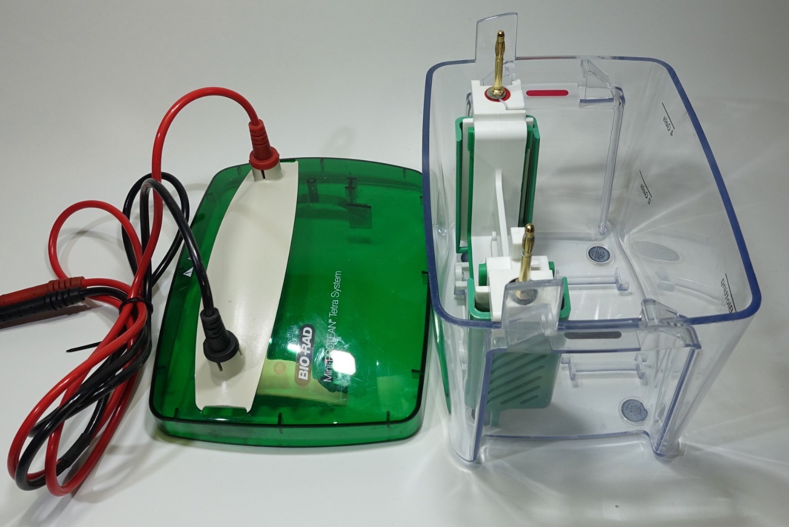 Bio-Rad Mini-PROTEAN Tetra Cell SDS-PAGE System, 2 Gels; Great Condition
