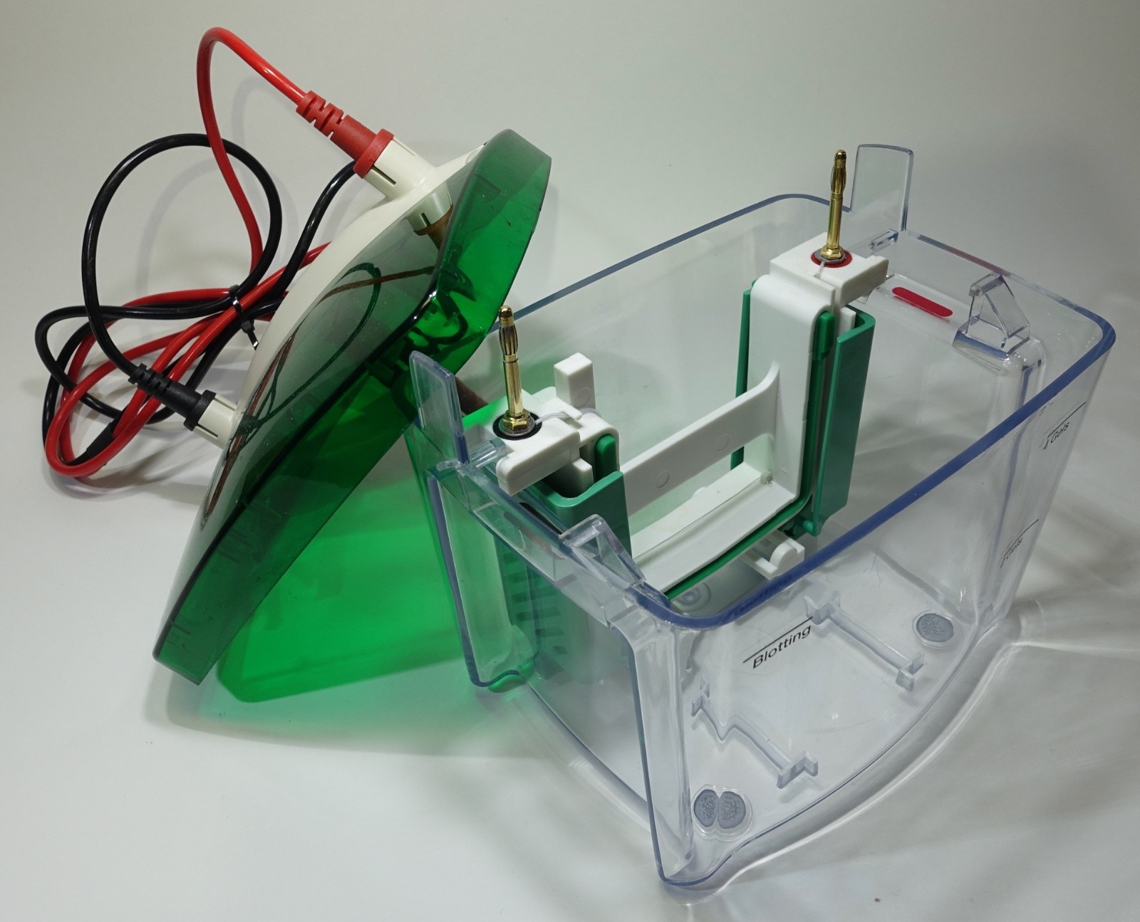 Bio-Rad Mini-PROTEAN Tetra Cell SDS-PAGE System, 2 Gels; Great Condition