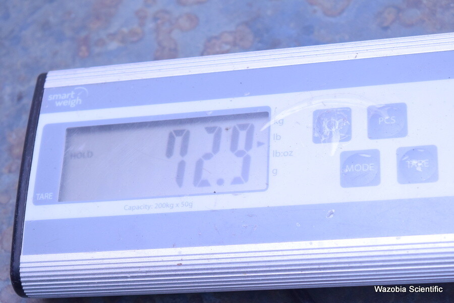 IMAGESYSTEMS MODEL MDC4200-2CC MEDICAL MONITOR FP4200MED