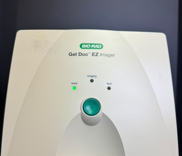 Bio-Rad Gel Doc EZ Imager Gel Documentation System w/UV, Blue Stain-Free Trays